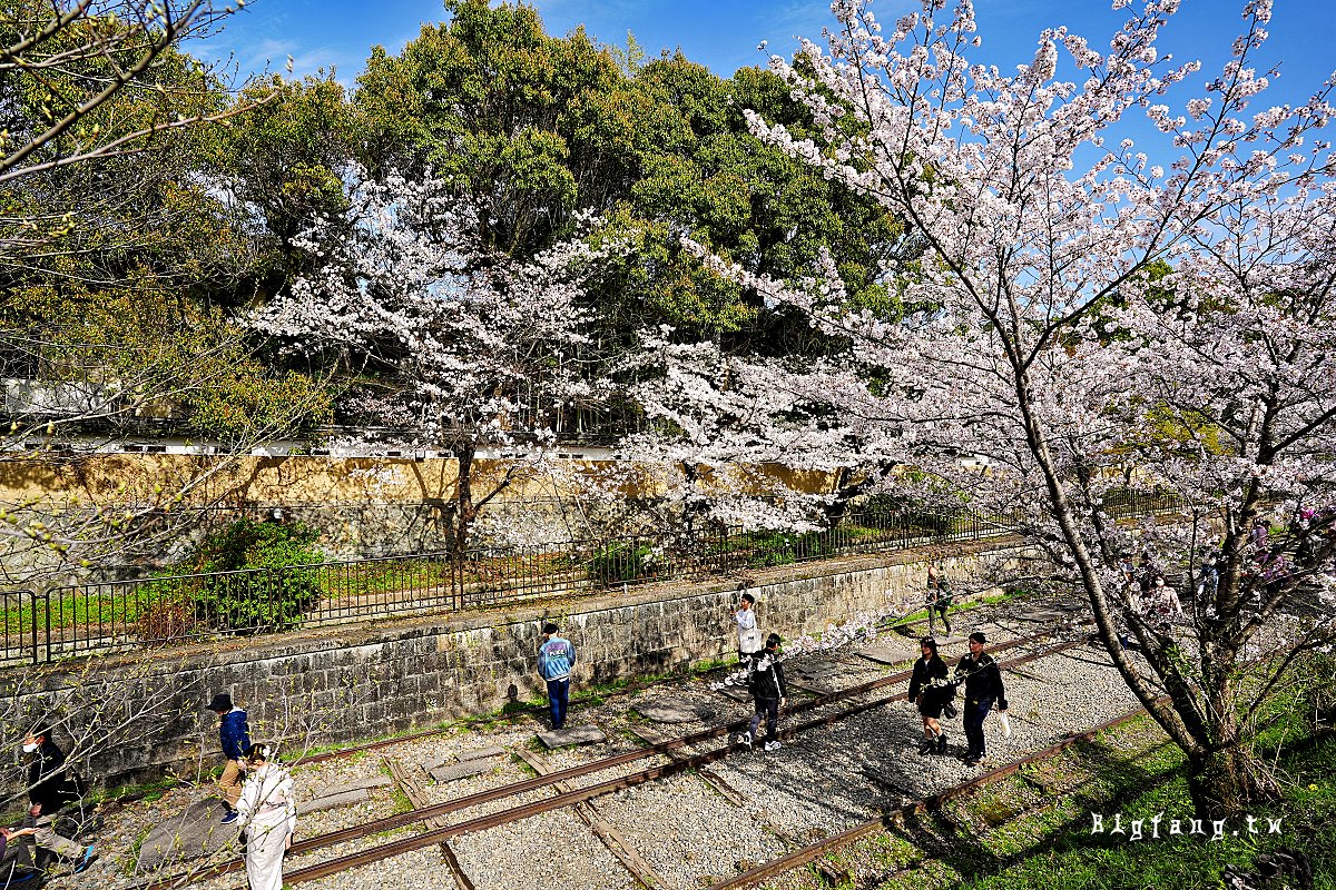 京都櫻花賞櫻 蹴上傾斜鐵道