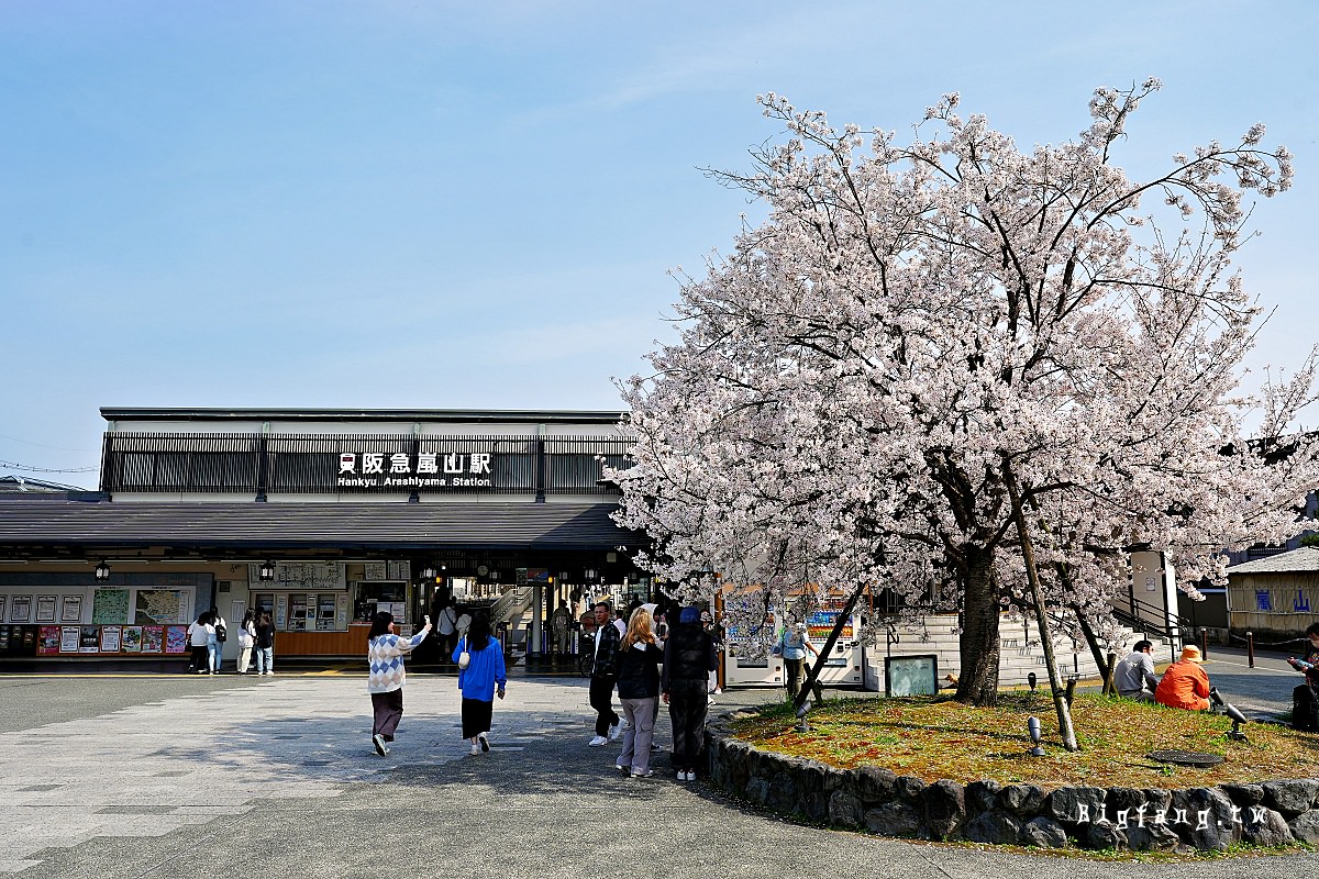 阪急電鐵 嵐山櫻花