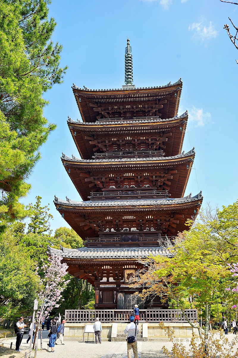 京都櫻名所 仁和寺 御室櫻花 五層塔 世界遺產