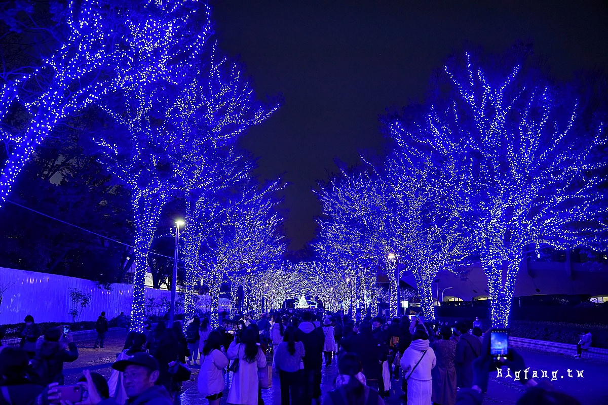 東京 青の洞窟 SHIBUYA 聖誕點燈