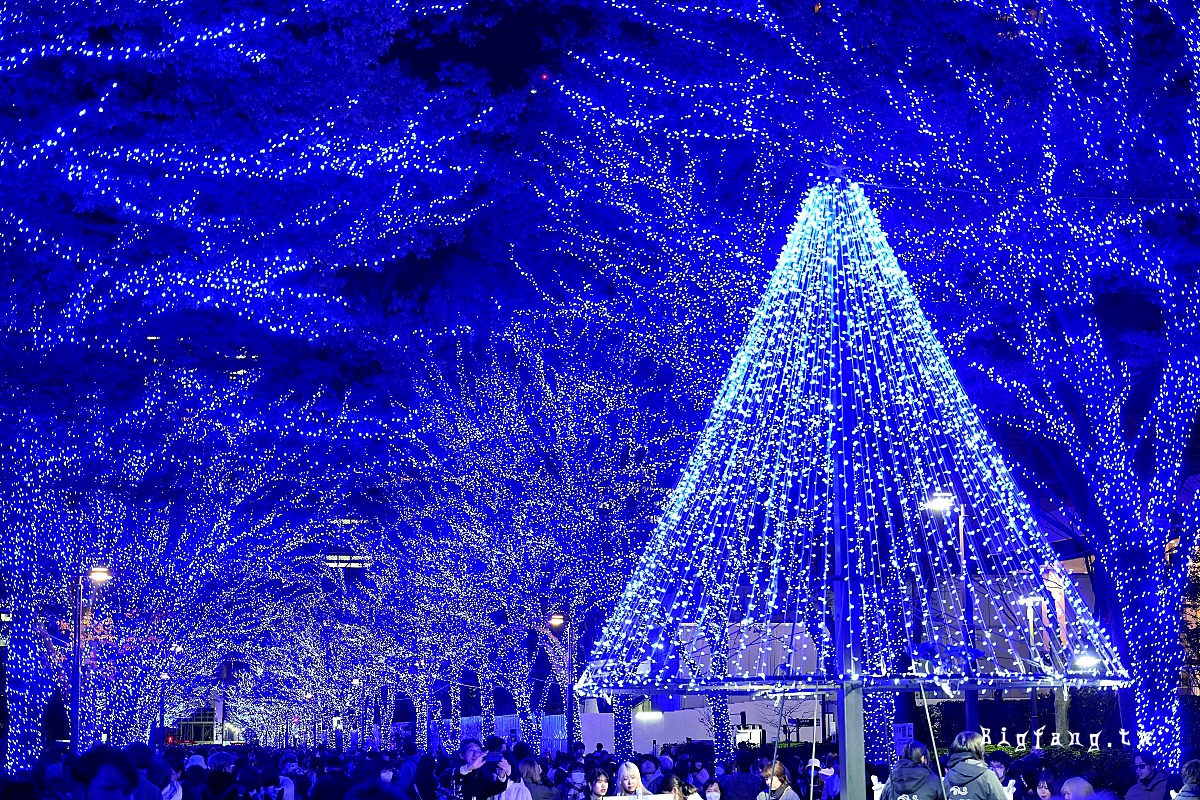 東京 青の洞窟 SHIBUYA 聖誕點燈