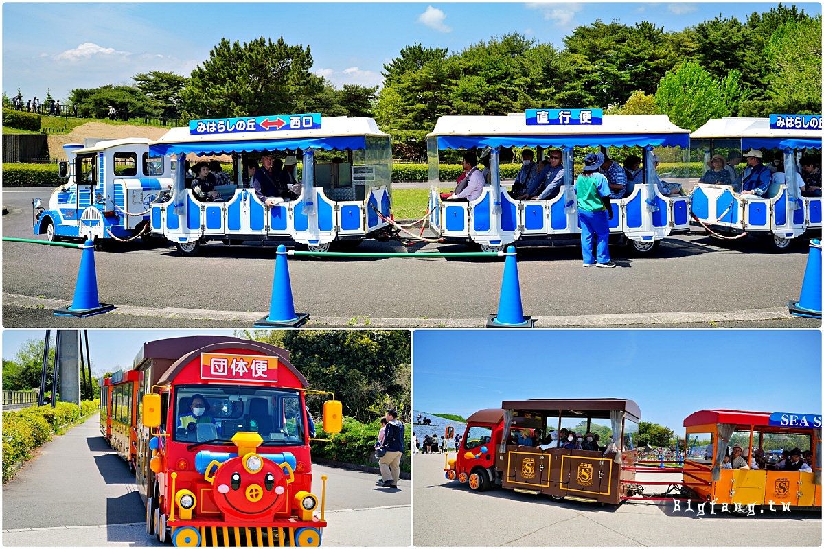 茨城縣 國營常陸海濱公園 遊園海濱小火車