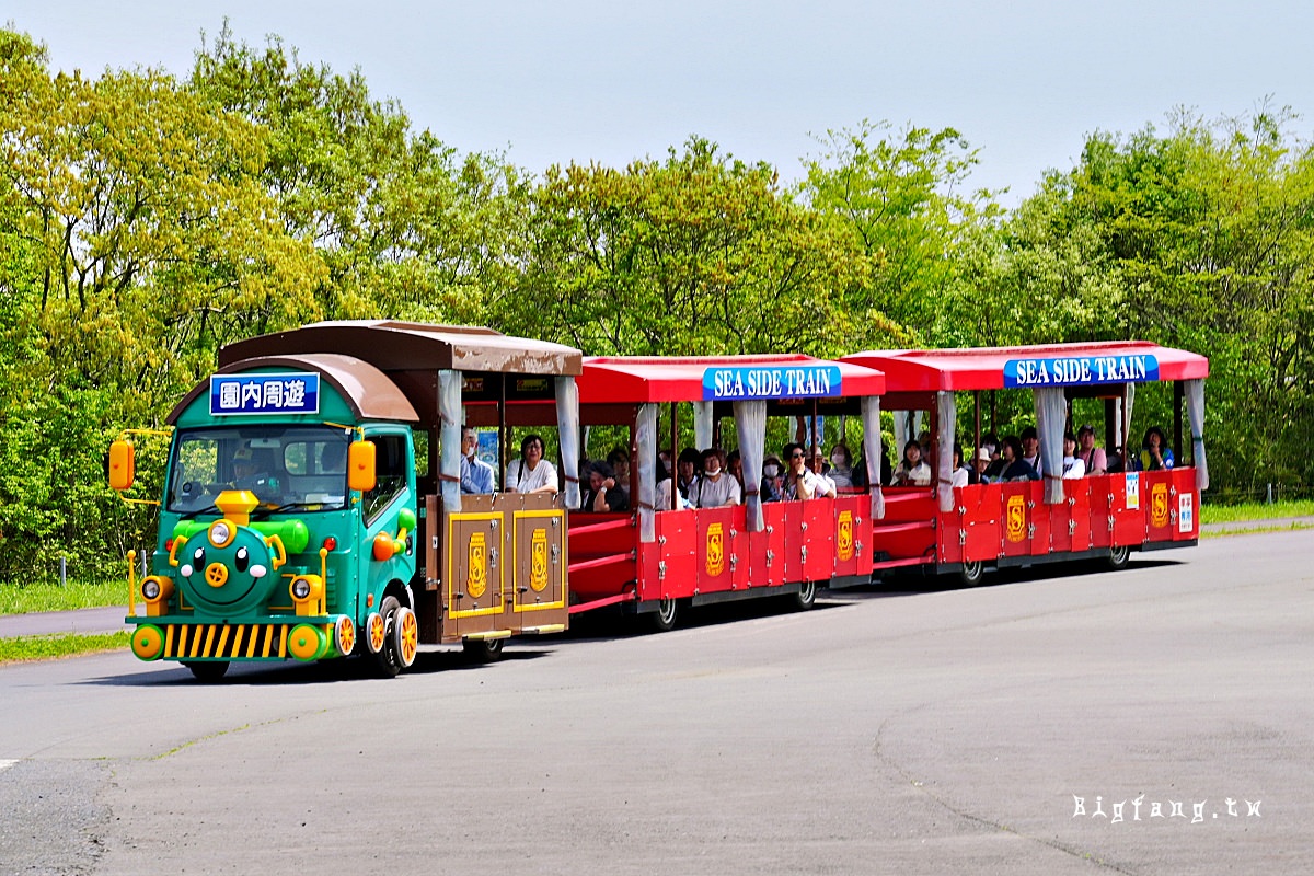 茨城縣 國營常陸海濱公園 遊園海濱小火車