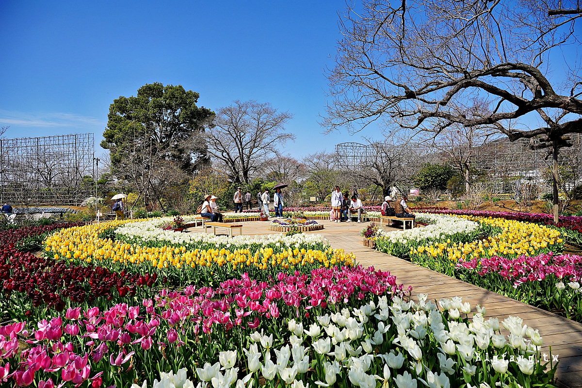 栃木縣 足利花卉公園