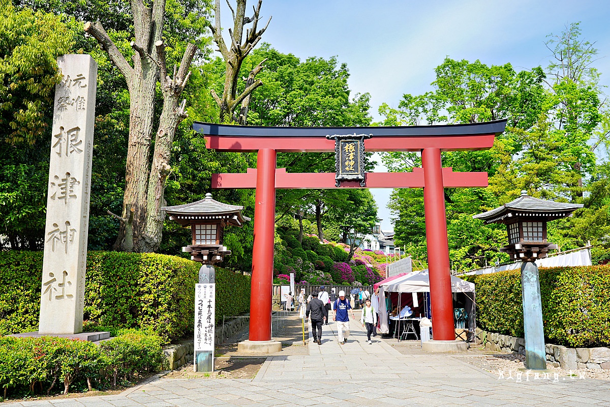 東京文京區 根津神社 杜鵑花