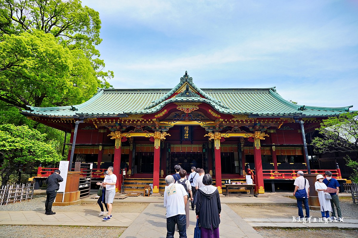 東京文京區 根津神社 杜鵑花