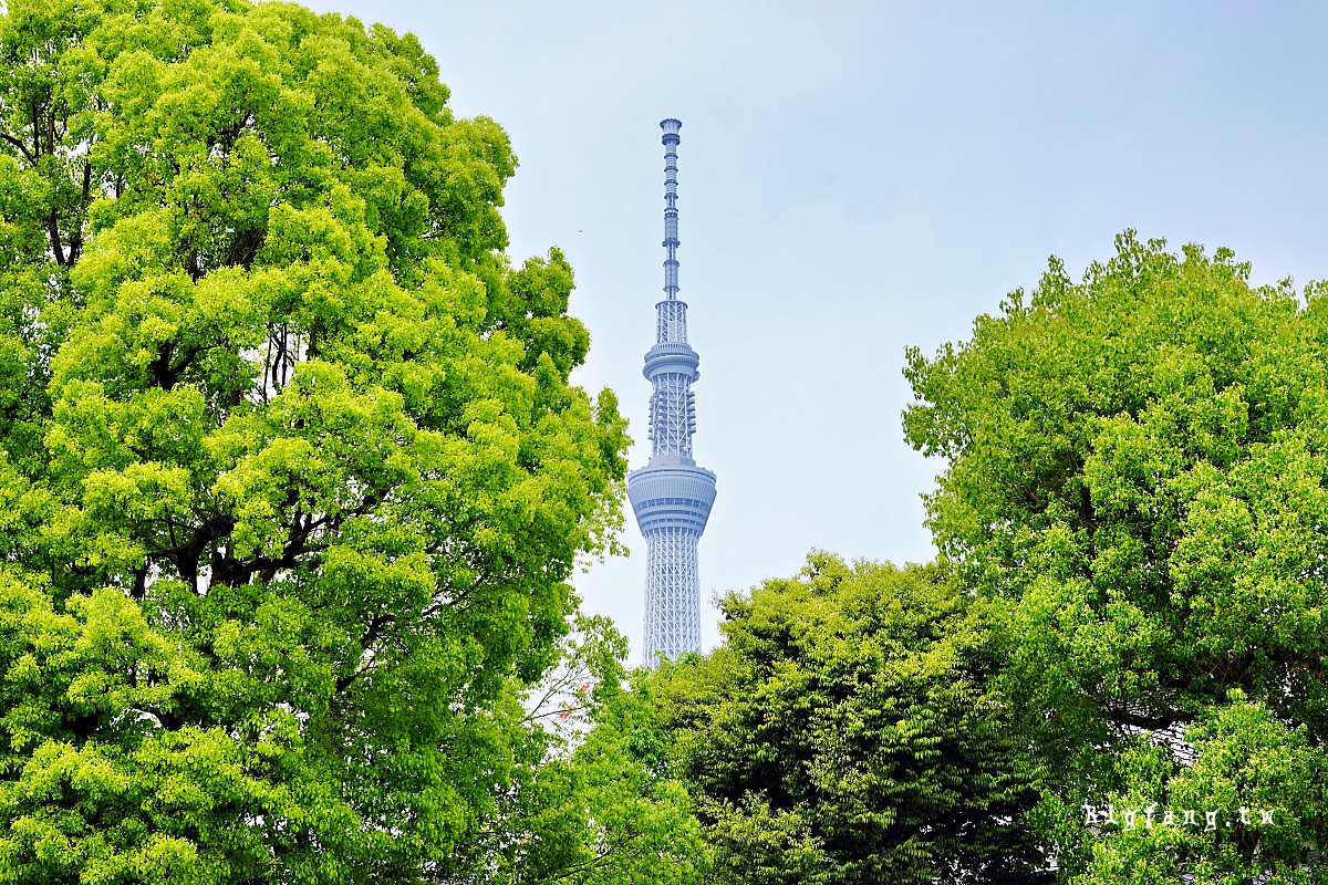 東京江東區 龜戶天神社 東宰府天滿宮 晴空塔