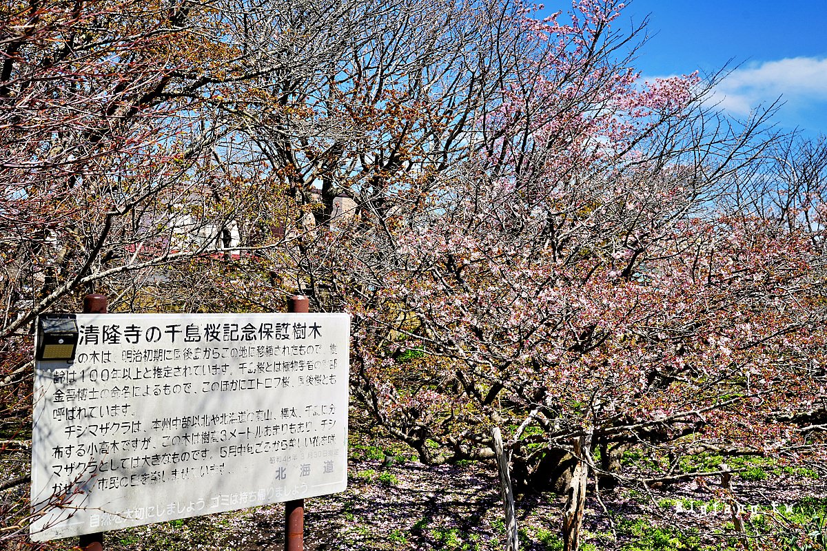 北海道 根室市 清隆寺