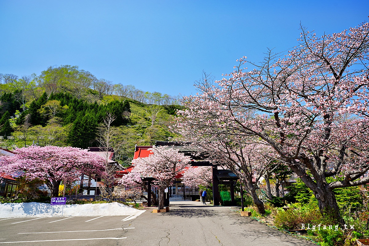 北海道知床羅臼 誠諦寺 櫻花