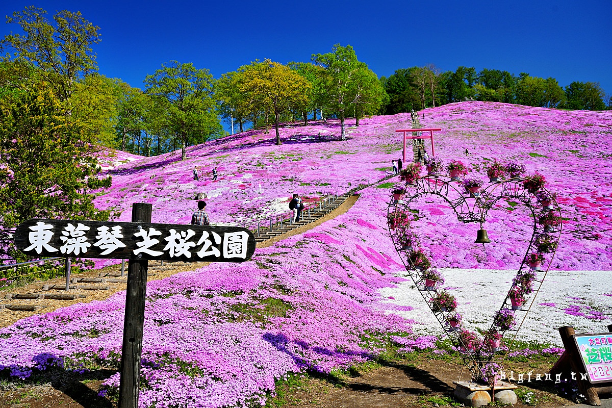 北海道網走郡大空町 東藻琴芝櫻公園