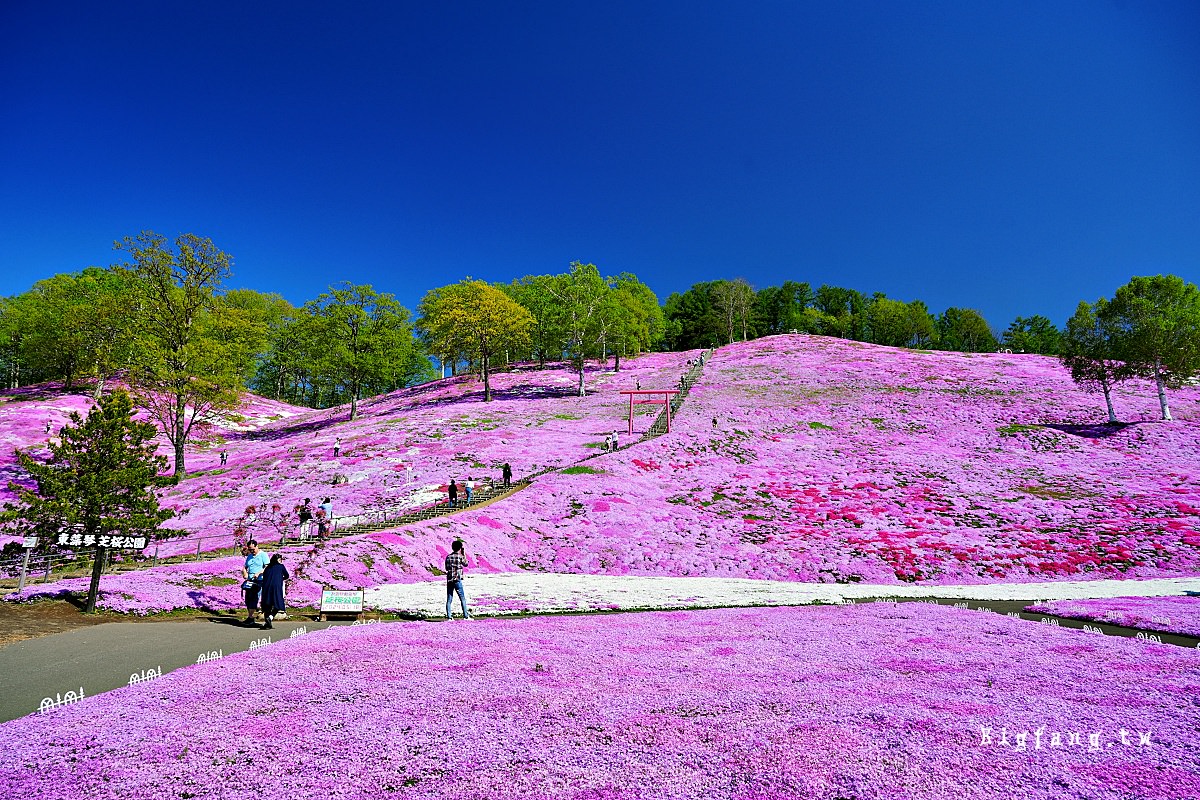 北海道網走郡大空町 東藻琴芝櫻公園