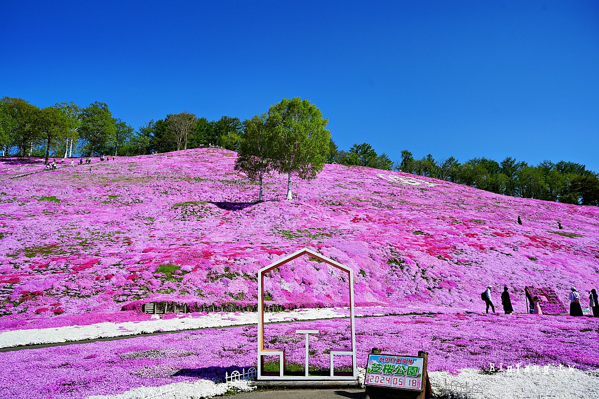 北海道網走郡大空町 東藻琴芝櫻公園