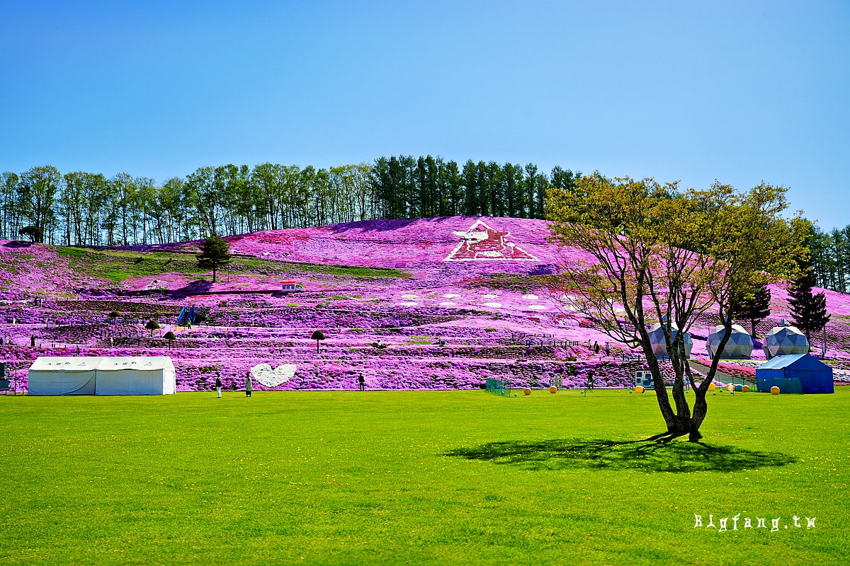 北海道網走郡大空町 東藻琴芝櫻公園