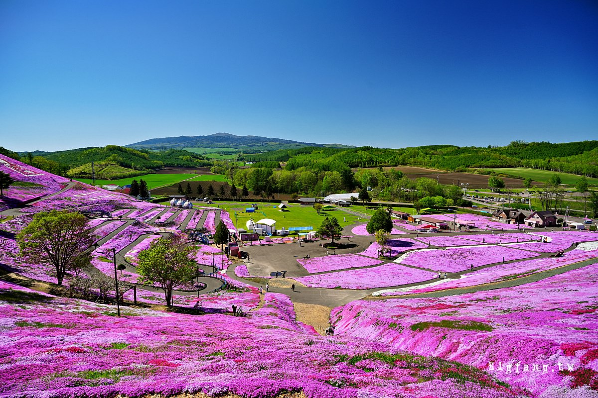 北海道網走郡大空町 東藻琴芝櫻公園