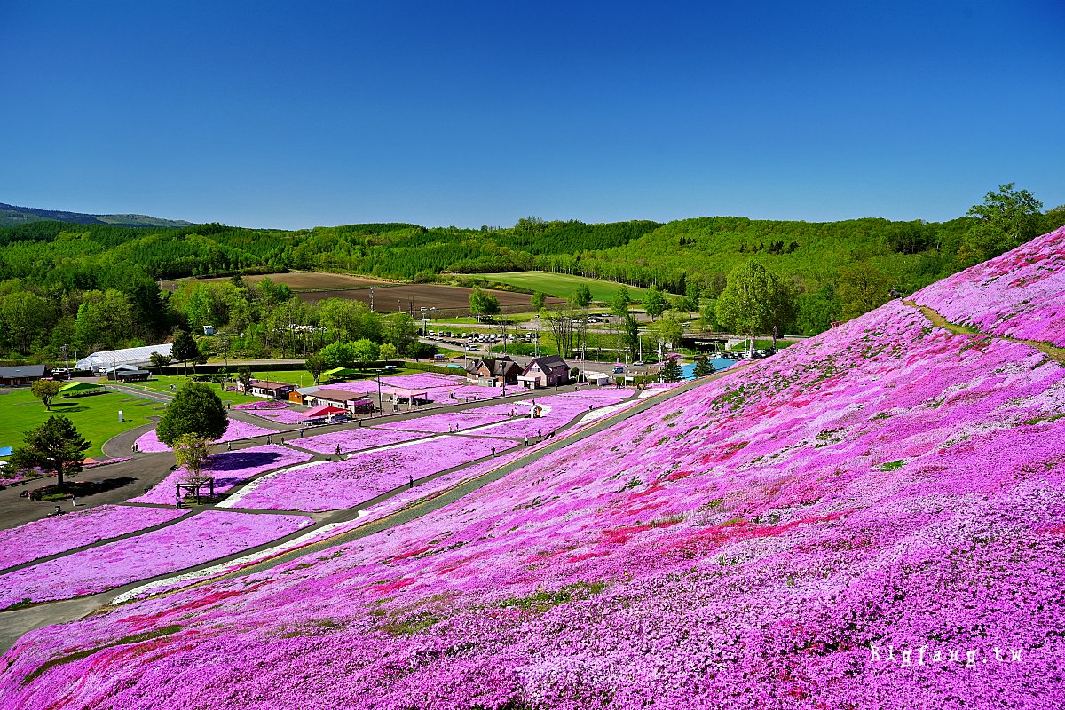 北海道網走郡大空町 東藻琴芝櫻公園