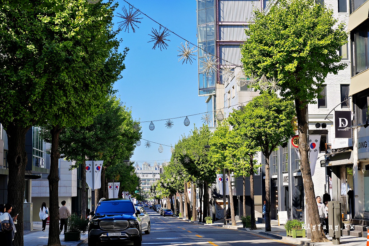 首爾新沙洞林蔭大道 散策