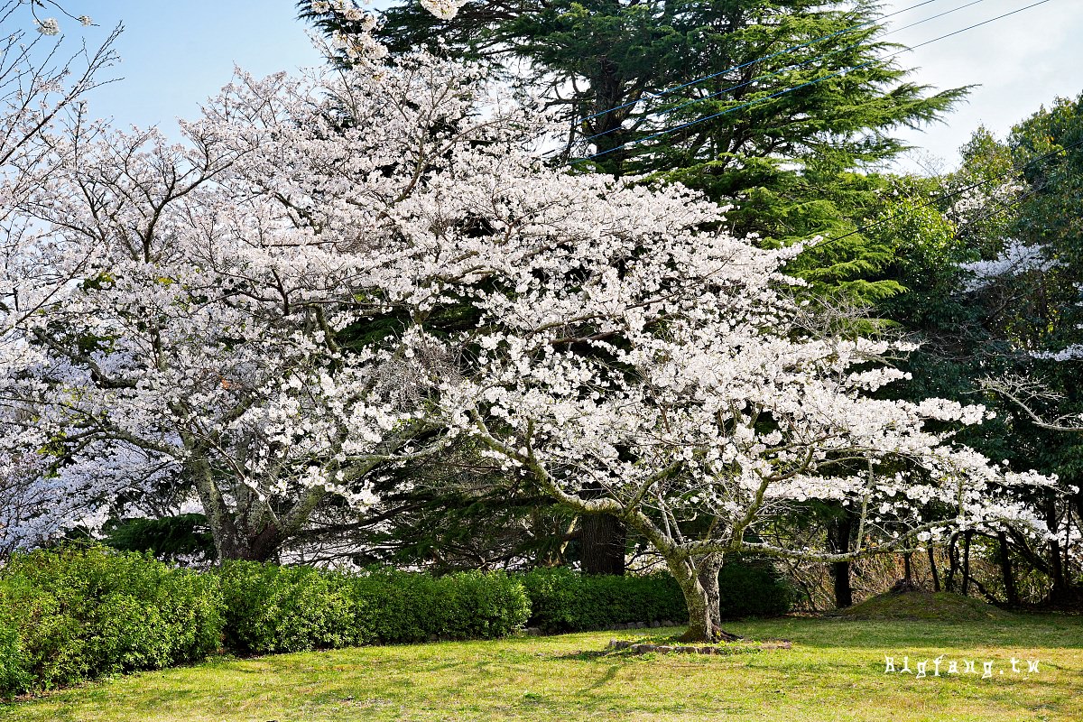 福岡久留米市 発心公園