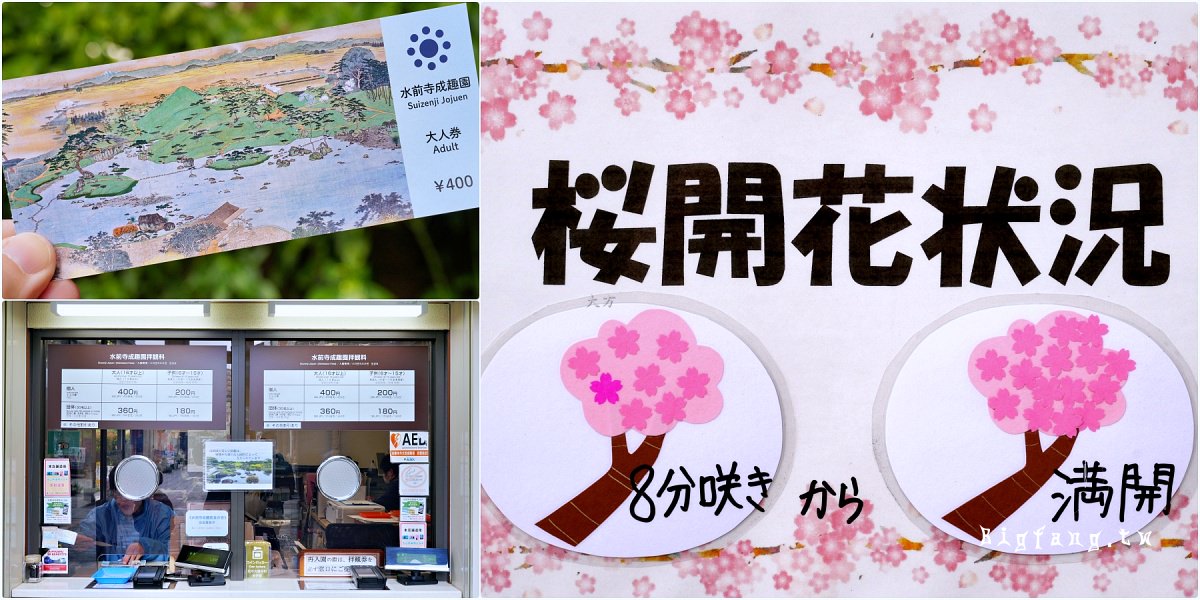 熊本市 水前寺 櫻花