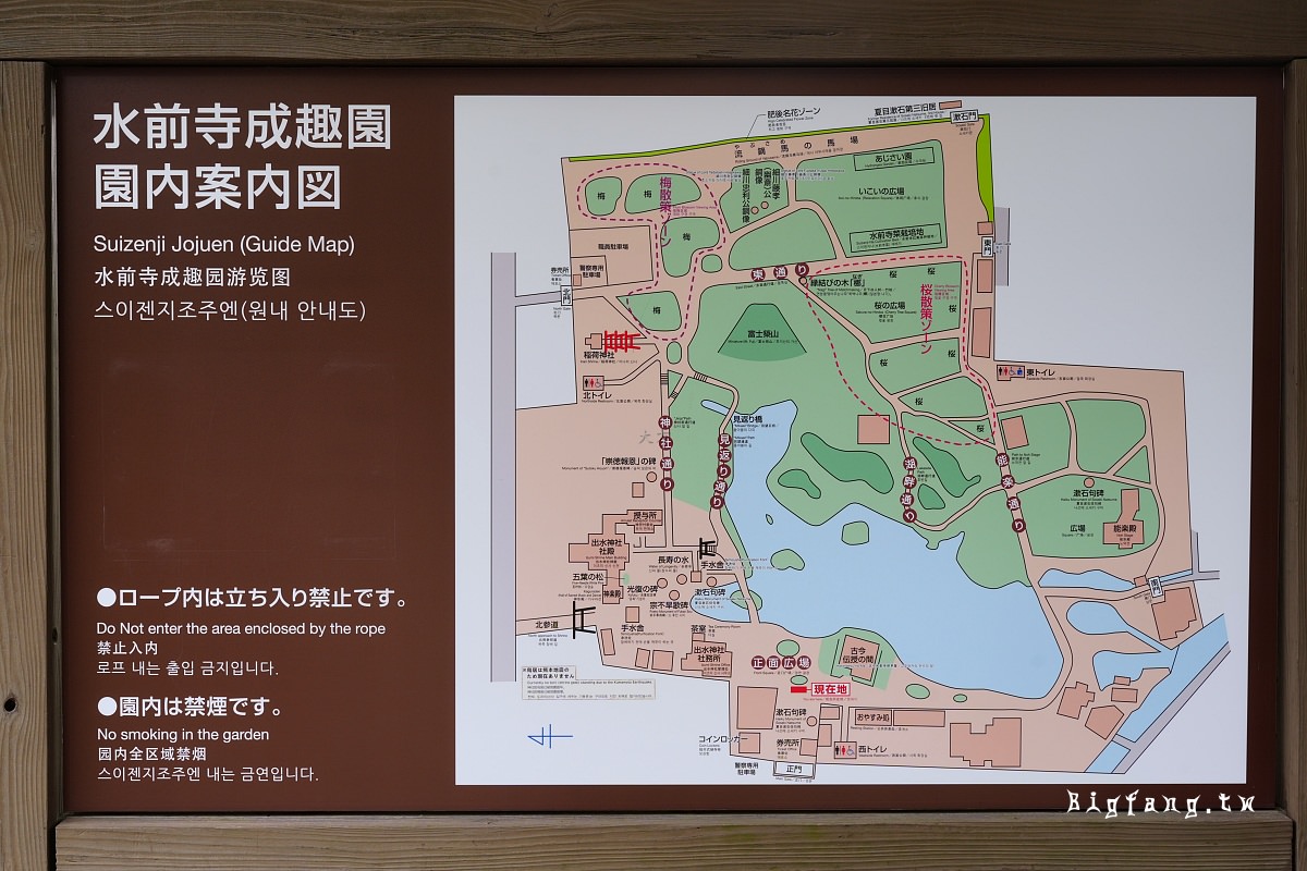 熊本市 水前寺 櫻花