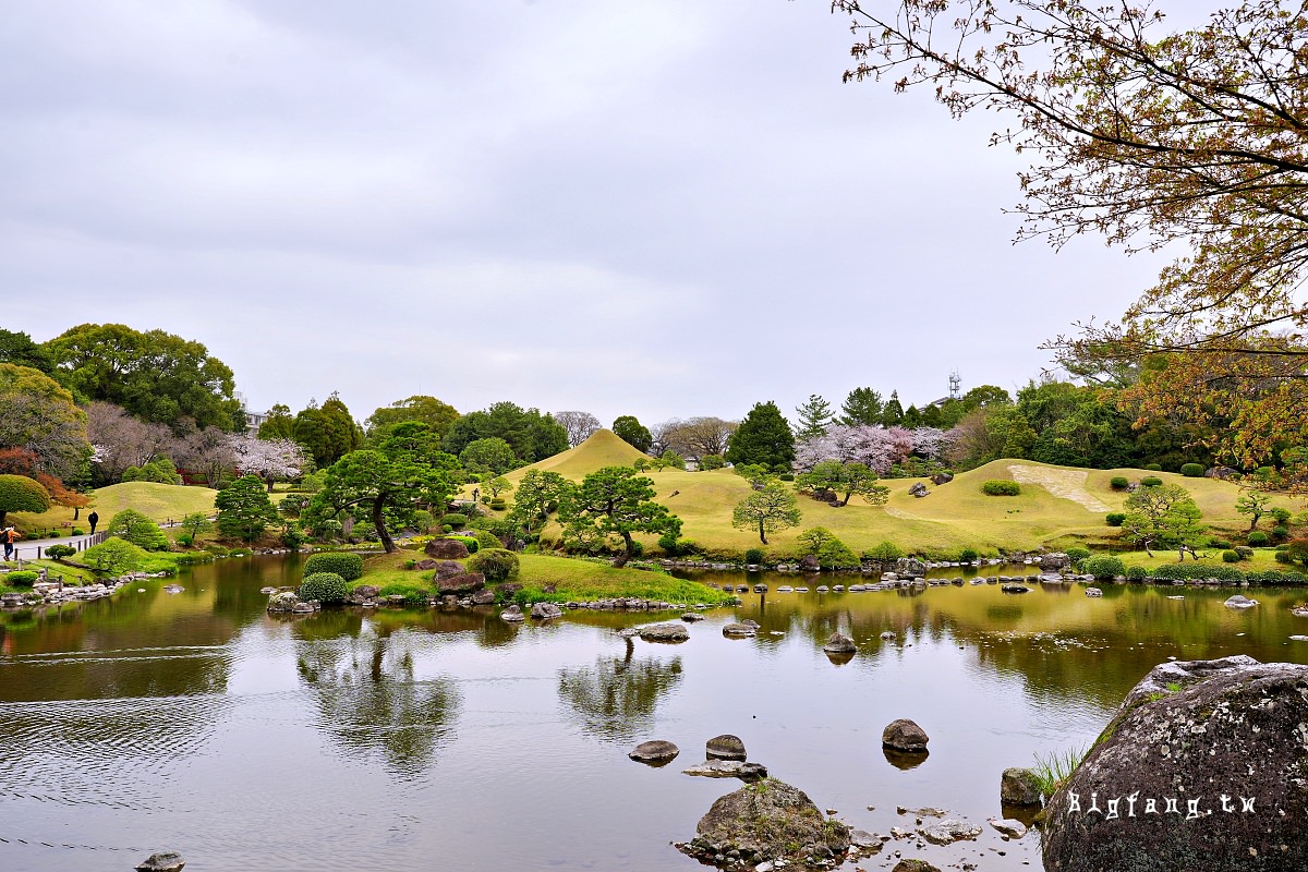熊本市 水前寺 櫻花