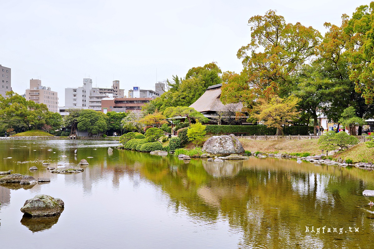 熊本市 水前寺 櫻花