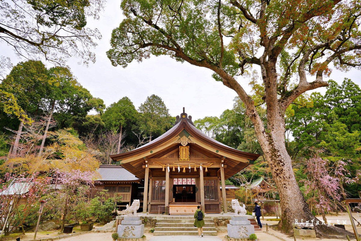 福岡太宰府市 寶滿宮 竈門神社 