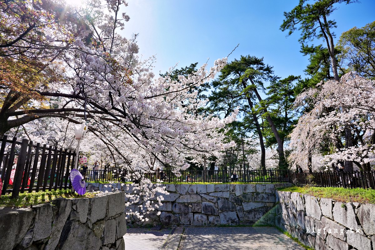 福岡北九州市 小倉城 賞櫻