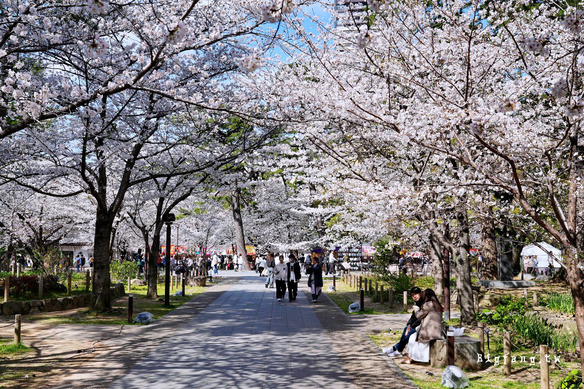 福岡北九州市 小倉城 賞櫻