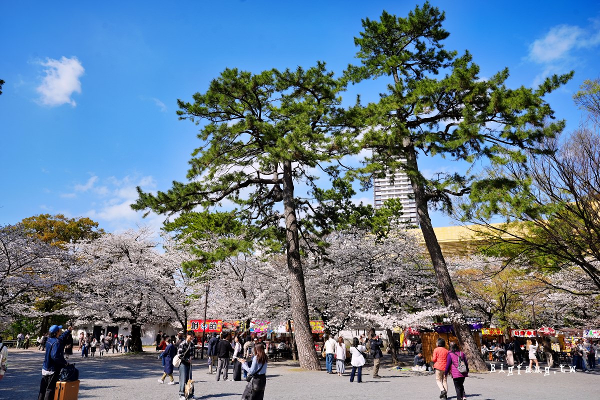 福岡北九州市 小倉城 賞櫻
