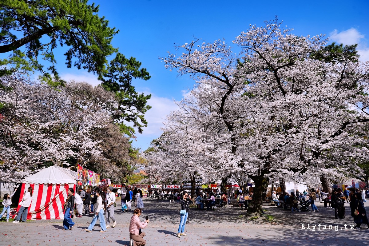 福岡北九州市 小倉城 賞櫻