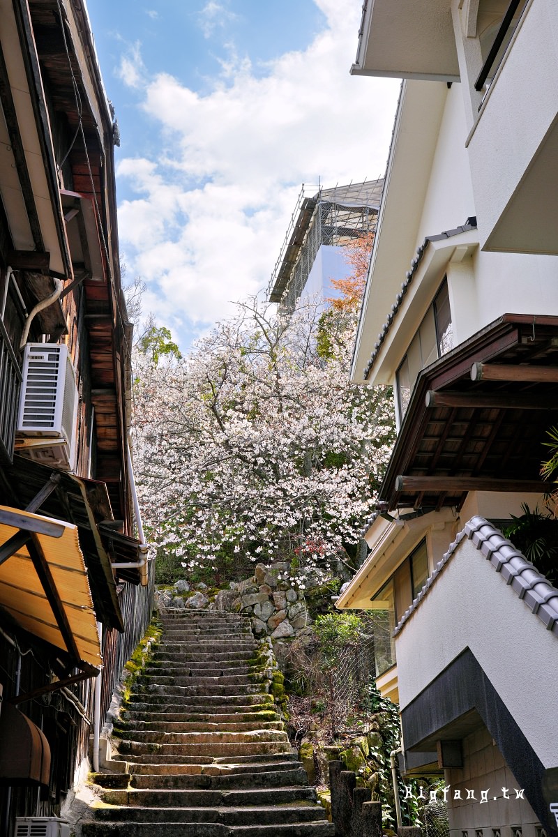 廣島縣 宮島 嚴島神社 櫻花