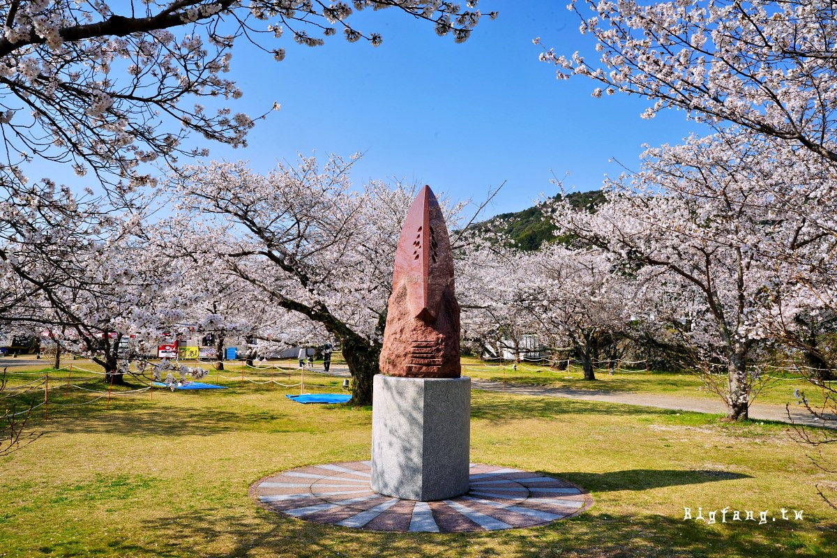 山口岩國市櫻花 錦帶橋