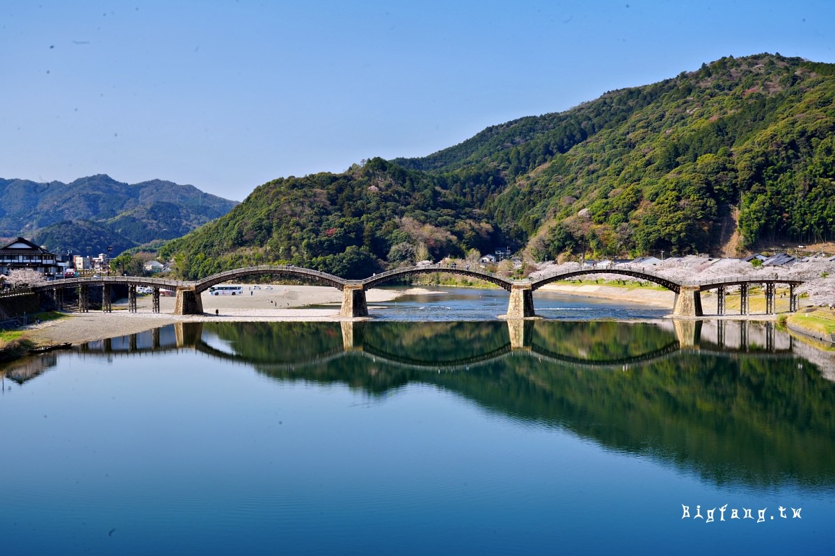 山口岩國市櫻花 錦帶橋
