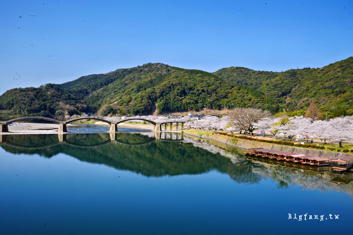 山口岩國市櫻花 錦帶橋