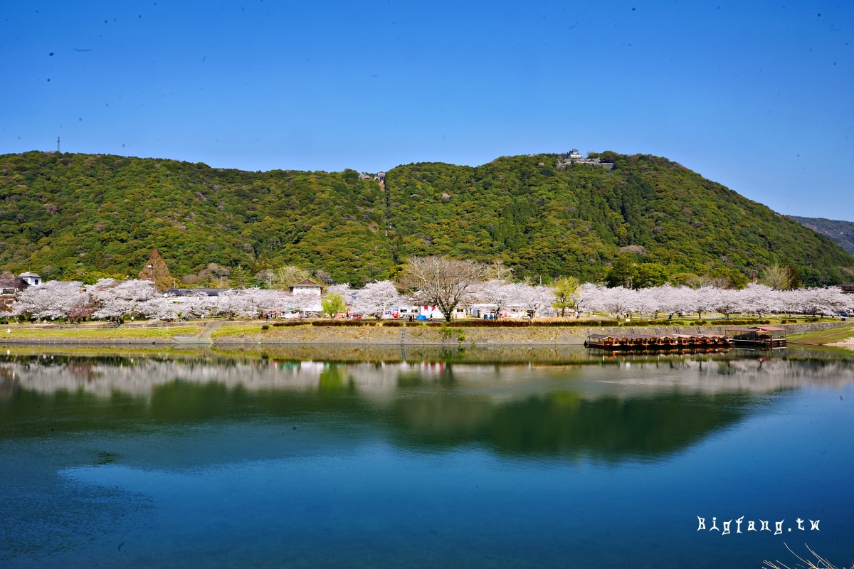 山口岩國市櫻花 錦帶橋