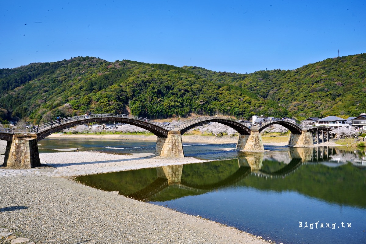 山口岩國市櫻花 錦帶橋