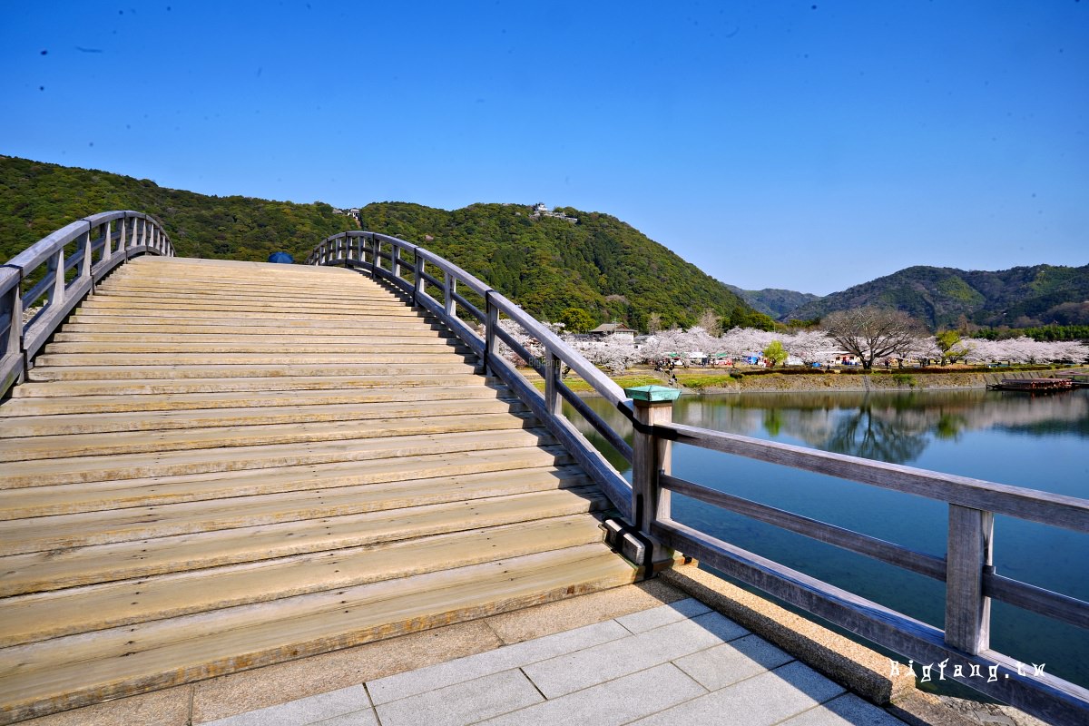 山口岩國市櫻花 錦帶橋