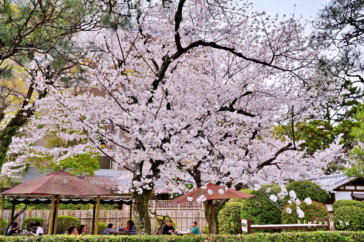 廣島市 縮景園
