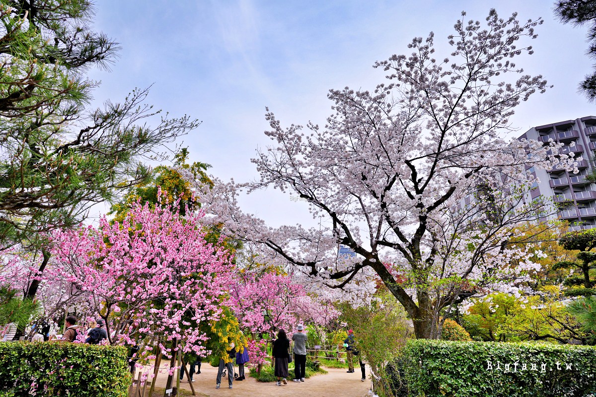 廣島市 縮景園
