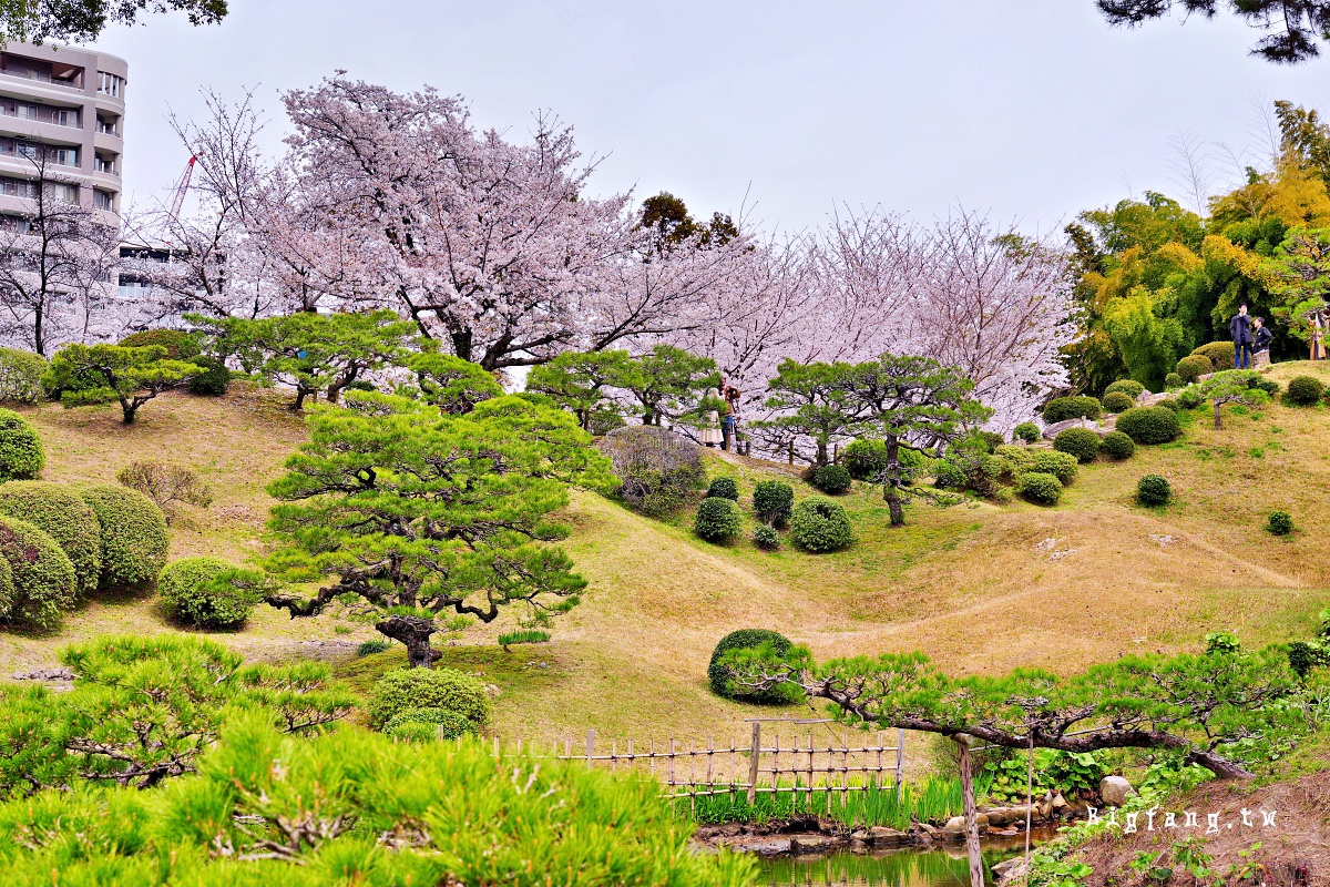 廣島市 縮景園