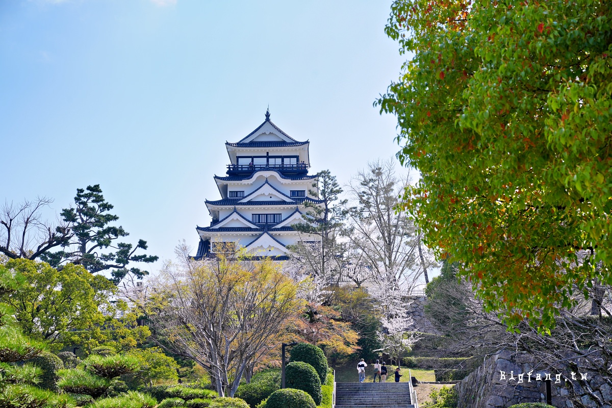 廣島福山市 福山城 櫻花