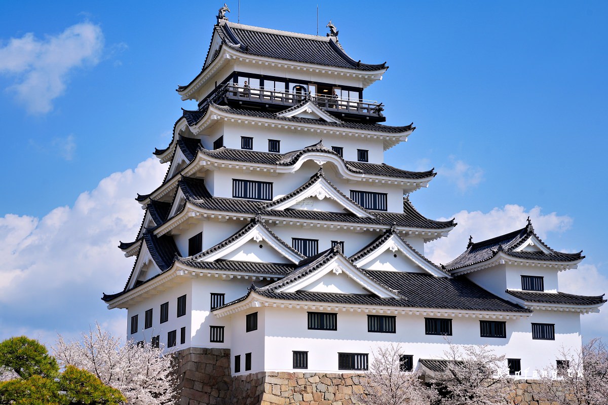 廣島福山市 福山城 櫻花