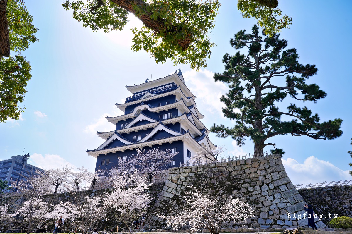 廣島福山市 福山城 櫻花