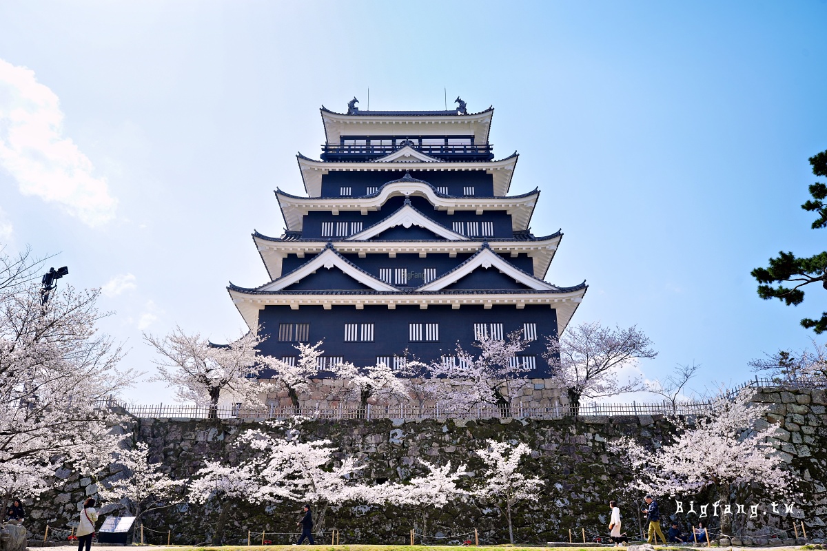 廣島福山市 福山城 櫻花