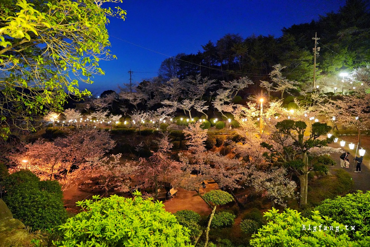 廣島尾道市櫻花 千光寺公園賞櫻+頂上展望台