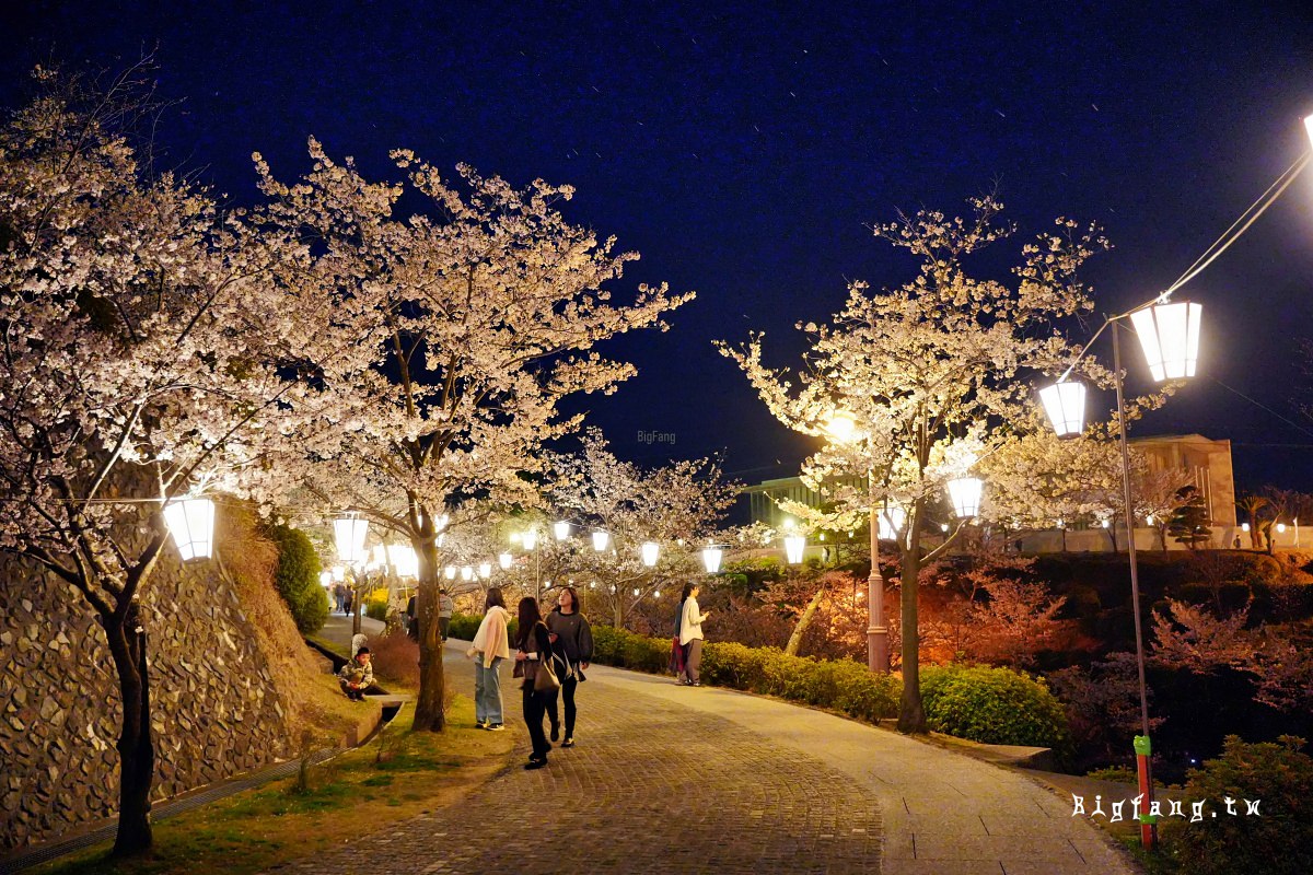廣島尾道市櫻花 千光寺公園賞櫻+頂上展望台
