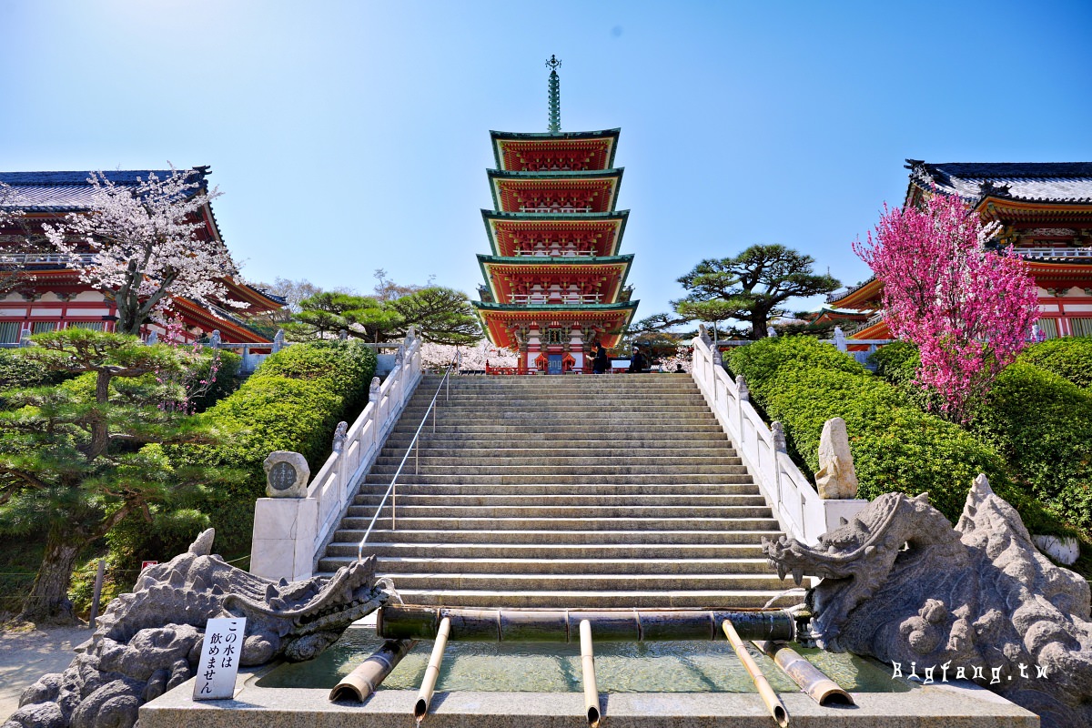 廣島尾道市櫻花 瀬戸田 耕三寺