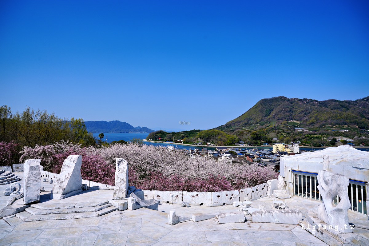 廣島尾道市櫻花 瀬戸田 耕三寺