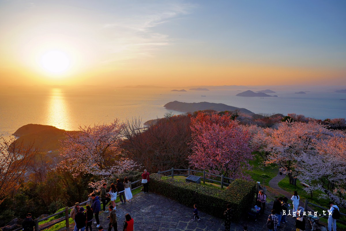 香川三豐市櫻花 紫雲出山 