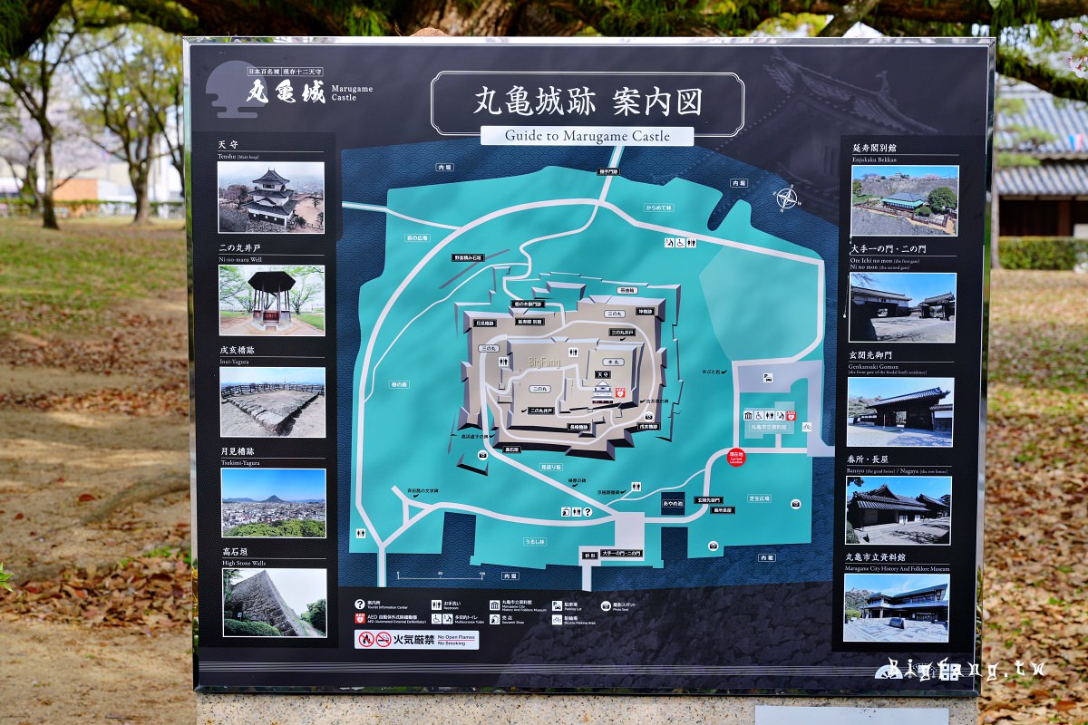 香川縣丸龜市 丸龜城 櫻花